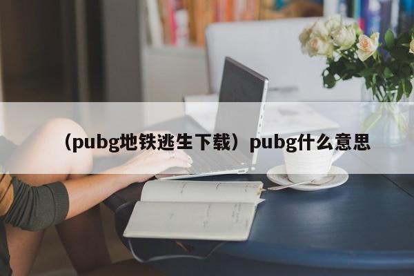 （pubg地铁逃生下载）pubg什么意思