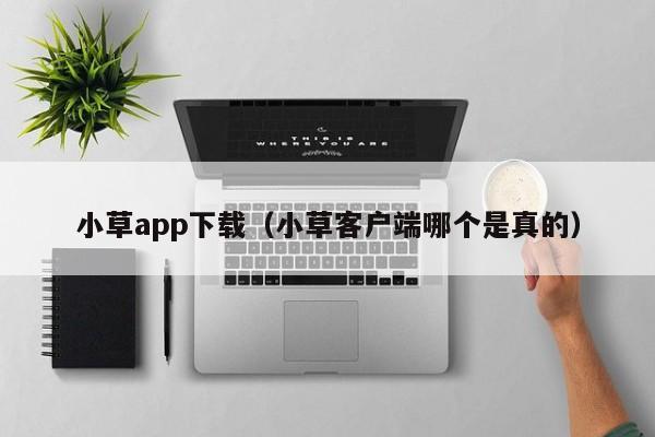 小草app下载（小草客户端哪个是真的）