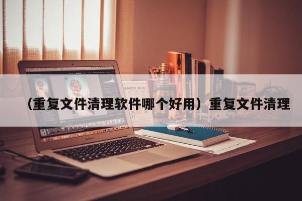 （重复文件清理软件哪个好用）重复文件清理
