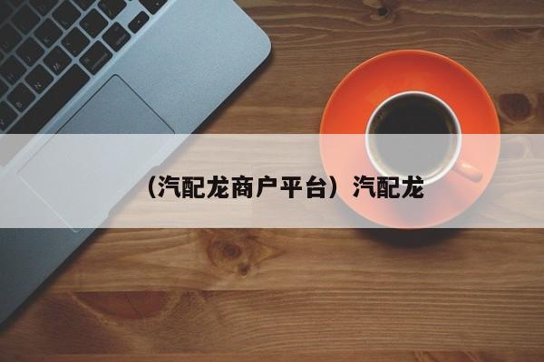 （汽配龙商户平台）汽配龙