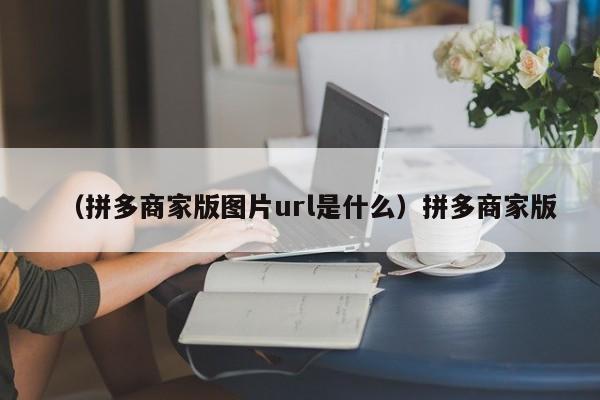 （拼多商家版图片url是什么）拼多商家版