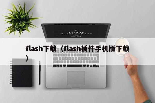 flash下载（flash插件手机版下载）