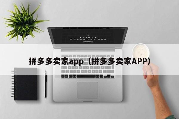 拼多多卖家app（拼多多卖家APP）