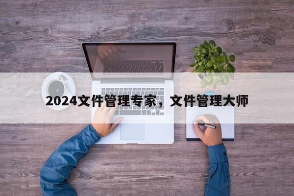 2024文件管理专家，文件管理大师