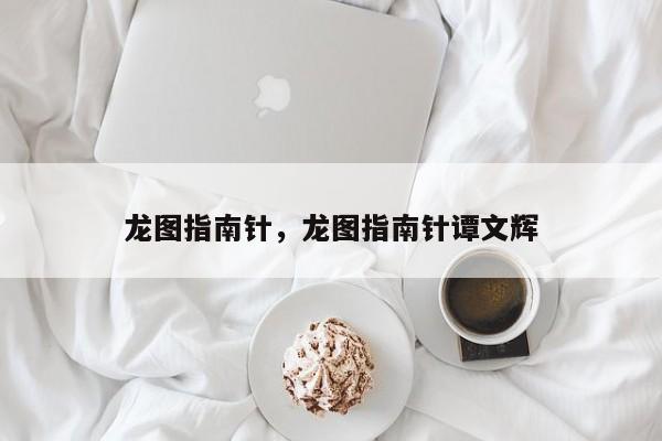 龙图指南针，龙图指南针谭文辉