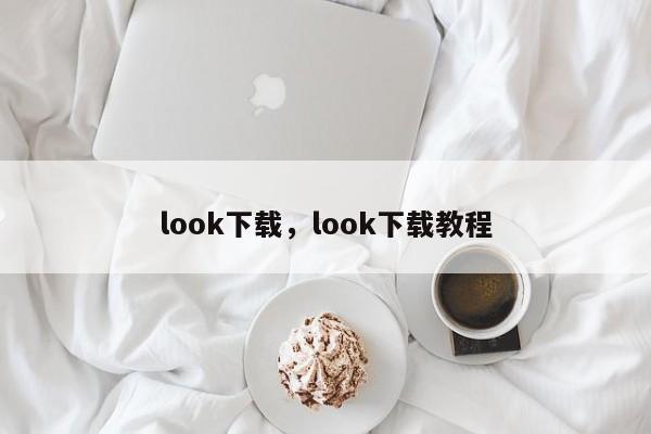 look下载，look下载教程