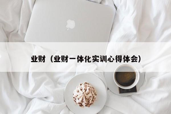 业财（业财一体化实训心得体会）