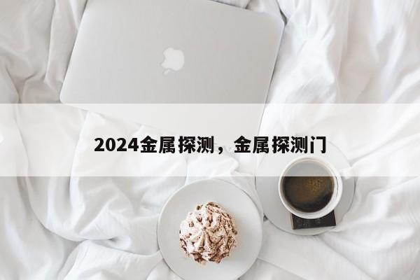 2024金属探测，金属探测门