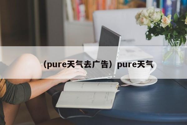 （pure天气去广告）pure天气