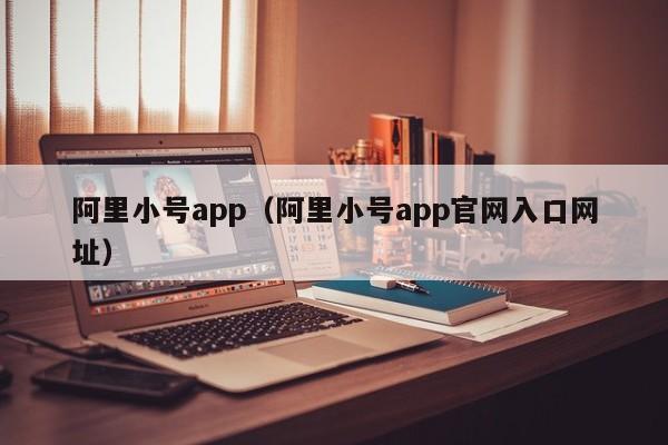 阿里小号app（阿里小号app官网入口网址）