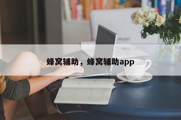 蜂窝辅助，蜂窝辅助app