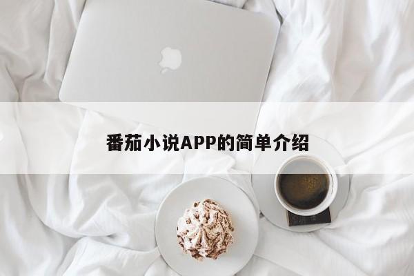 番茄小说APP的简单介绍