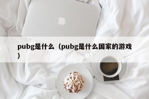 pubg是什么（pubg是什么国家的游戏）