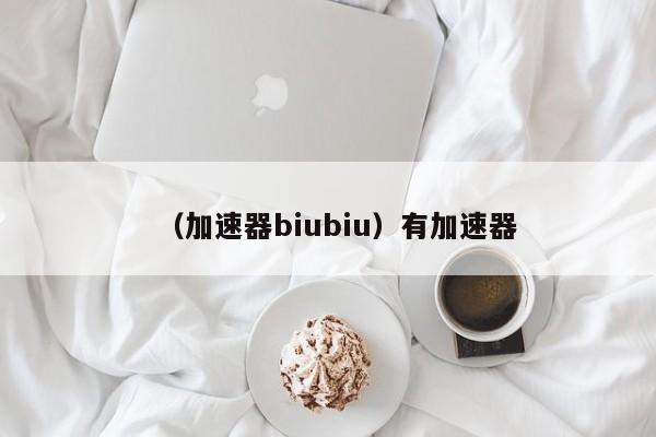 （加速器biubiu）有加速器