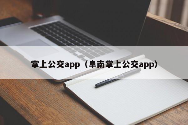 掌上公交app（阜南掌上公交app）