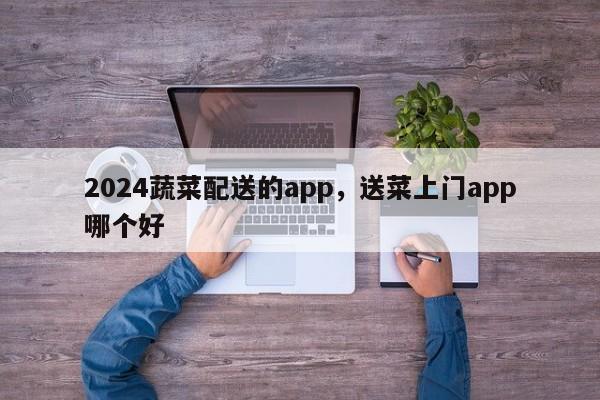 2024蔬菜配送的app，送菜上门app哪个好